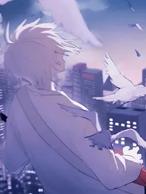 星光的追逐者