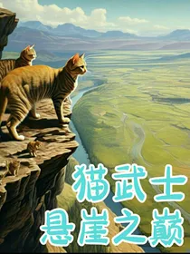 猫武士悬崖之巅
