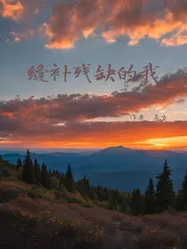 缝补残缺的我