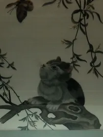 星际猫行者