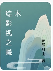 综影视之曦木