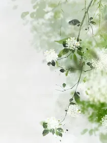 那是不清楚的爱