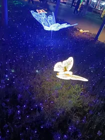 烟玉听而海棠归（楚晚宁阿姊下凡救弟弟）
