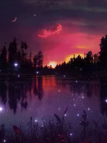 星星在看我