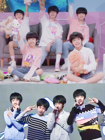 TF家族：重生之霸道总裁爱上我