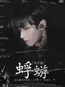 朱志鑫：蜉蝣