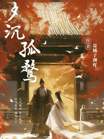 夕沉孤鹜