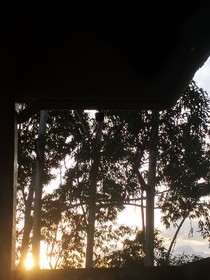 景深