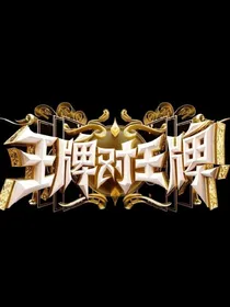 王牌对王牌wp-d009