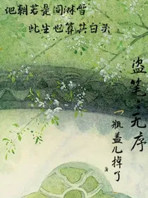 盗笔：无序