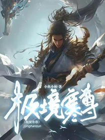 极境寒尊