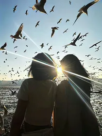 穿书之和女主在一起了