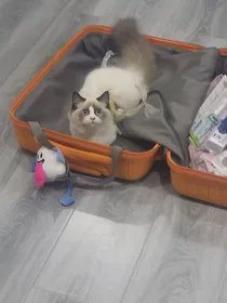 许你淮安