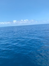 我不是海王呀