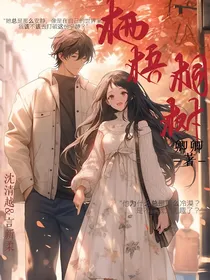 栖梧桐树