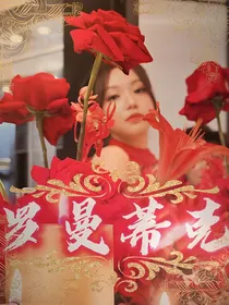 TF三代：罗曼蒂史