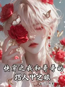 快穿之我和哥哥的路人甲之旅