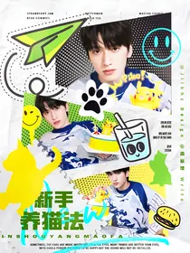 all严：新手养猫法