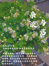 与君杂谈