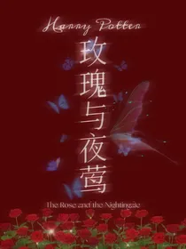 HP：玫瑰与夜莺