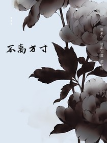 不离方寸