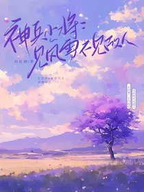 神兵小将：见风雪不见故人