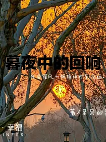 暮夜中的回响