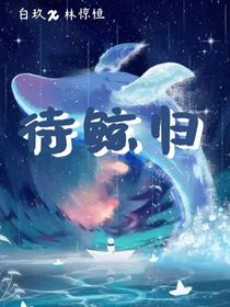 待鲸归