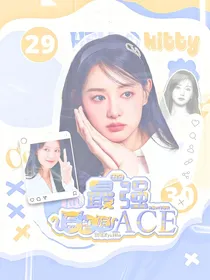 韩娱：最强ACE