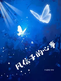 seventeen：风信子的心事