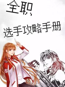 全职（选手攻略手册）