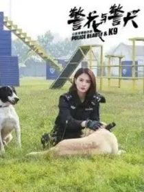 从开始到现在你是我的全部