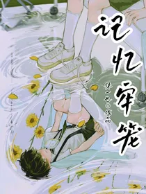记忆牢笼N