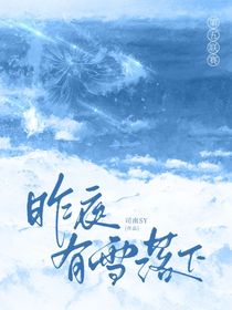 第五联赛：昨夜有雪落下