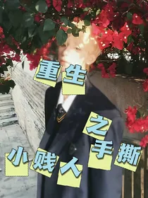 重生之手撕小贱人