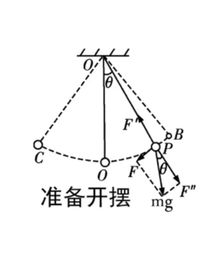 纯情男高与只想学习女