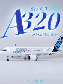 飞行人生：A320