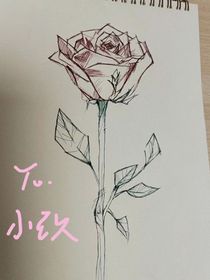 囚枝，瞳西