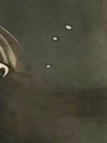 42863