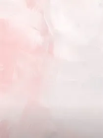 综影视：春枝梨