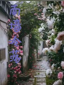 南墙冷落