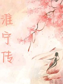 淮宁传
