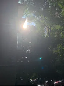 惟愿卿卿意逍遥
