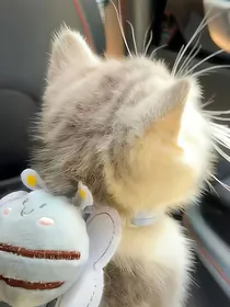 吾心往之