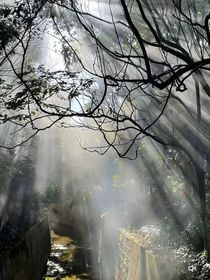 曦落的冤种日常