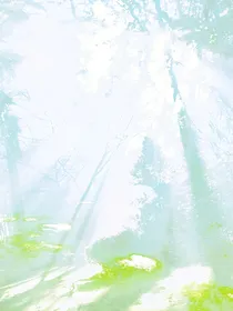我拥日光