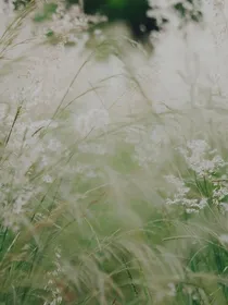 山海游：寻己录