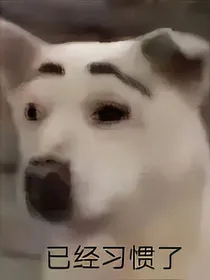 凹凸all你：今天的你也在掩盖你是穿越的事实