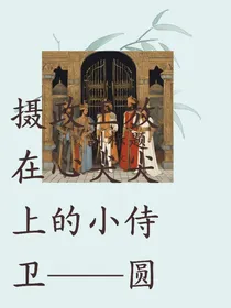 摄政王放在心尖上的小侍卫——圆满