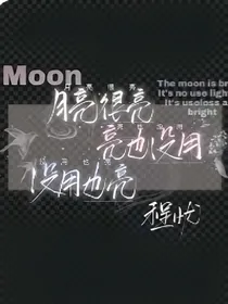 月亮的星-d955